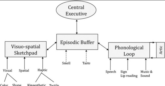 Phonological Loop