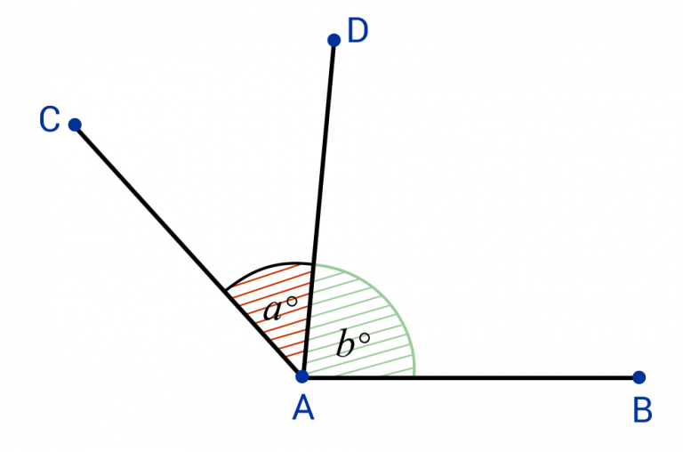 Adjacent Angles: Meaning, Examples